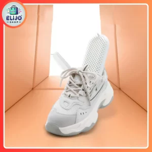 Secador Eléctrico de Zapatos FK22B66