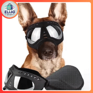 Gafa mascota + Estuche