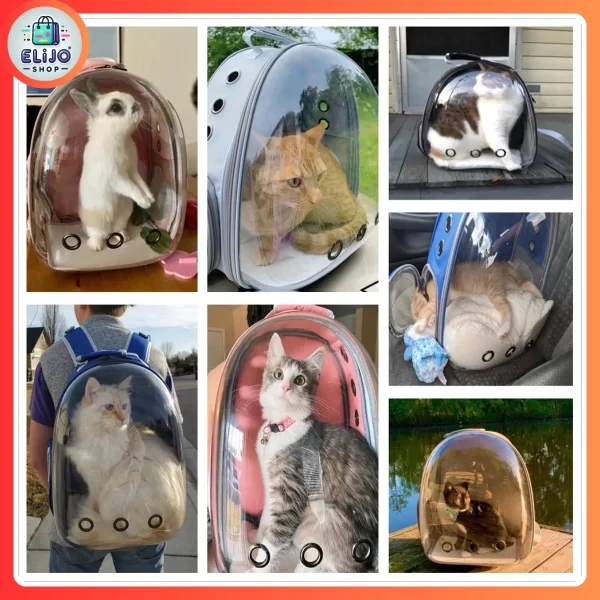 Maleta Para Mascotas